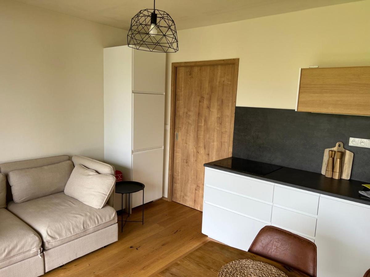 Apartman Boruvka Železná Ruda Eksteriør bilde