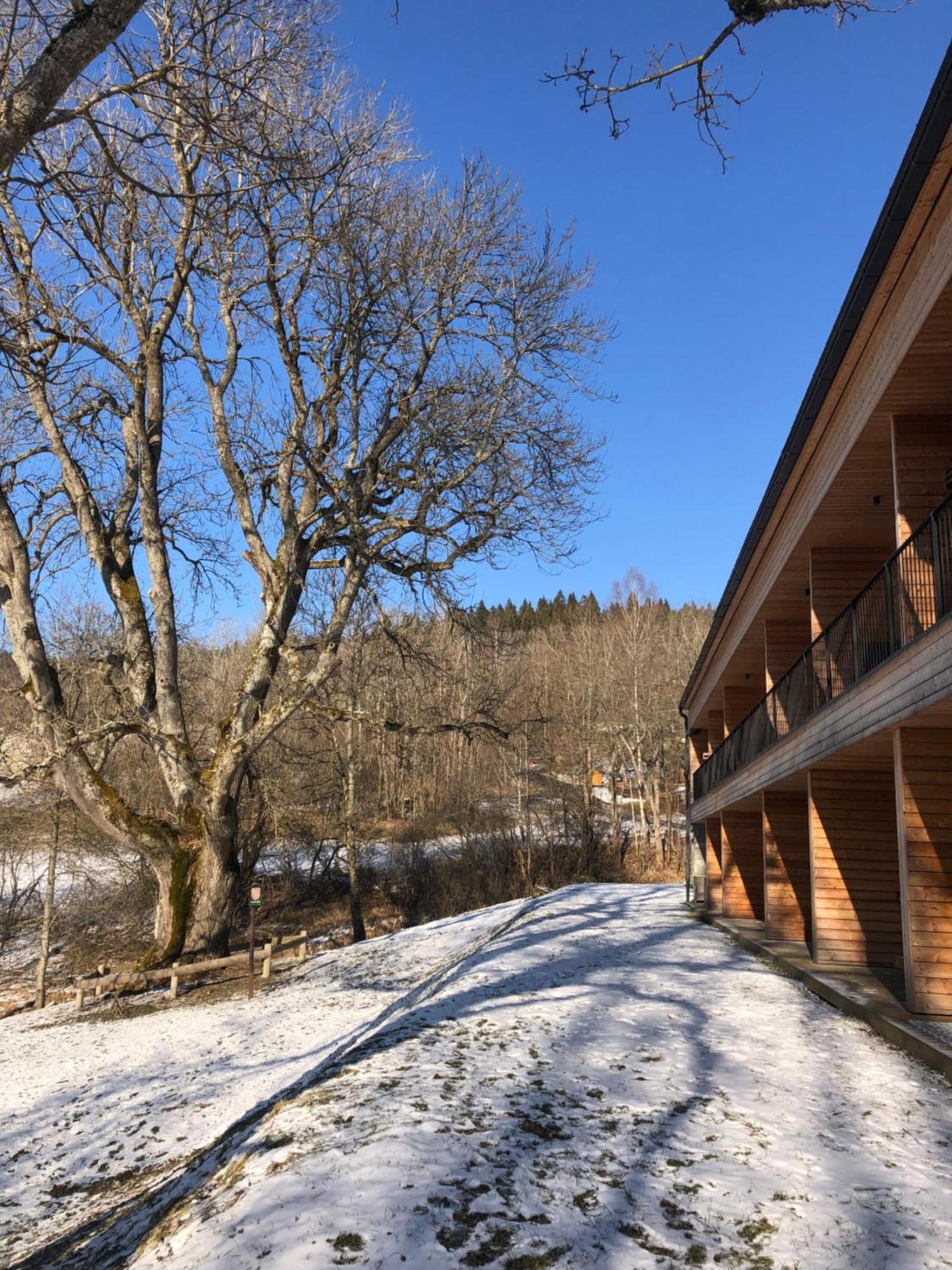Apartman Boruvka Železná Ruda Eksteriør bilde